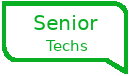 Senior Techs